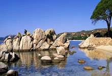 灰熊后卫突破纪录，成为焦点人物